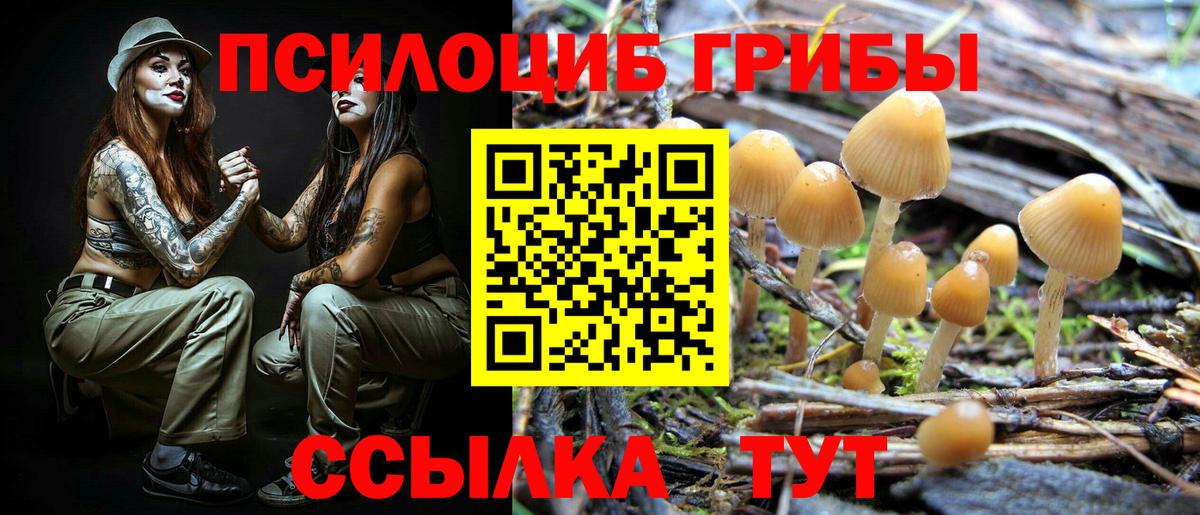 Галлюциногенные грибы Magic Shrooms Санкт-Петербург