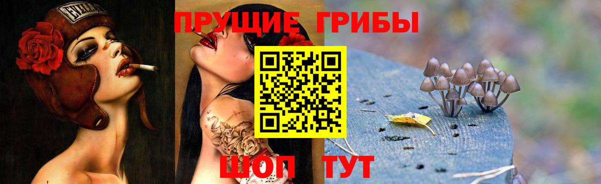 Галлюциногенные грибы Cubensis  Псилоцибиновые грибы Psilocybe  Санкт-Петербург  Вход с VPN 